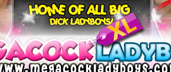 Mega Cock LadyBoys